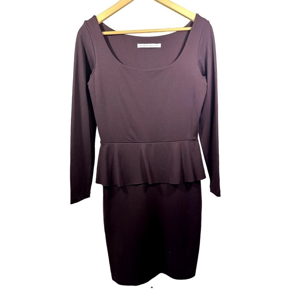 SUSANA MONACO Women's Long Sleeve Peplum Mini Dress Purple Size Large